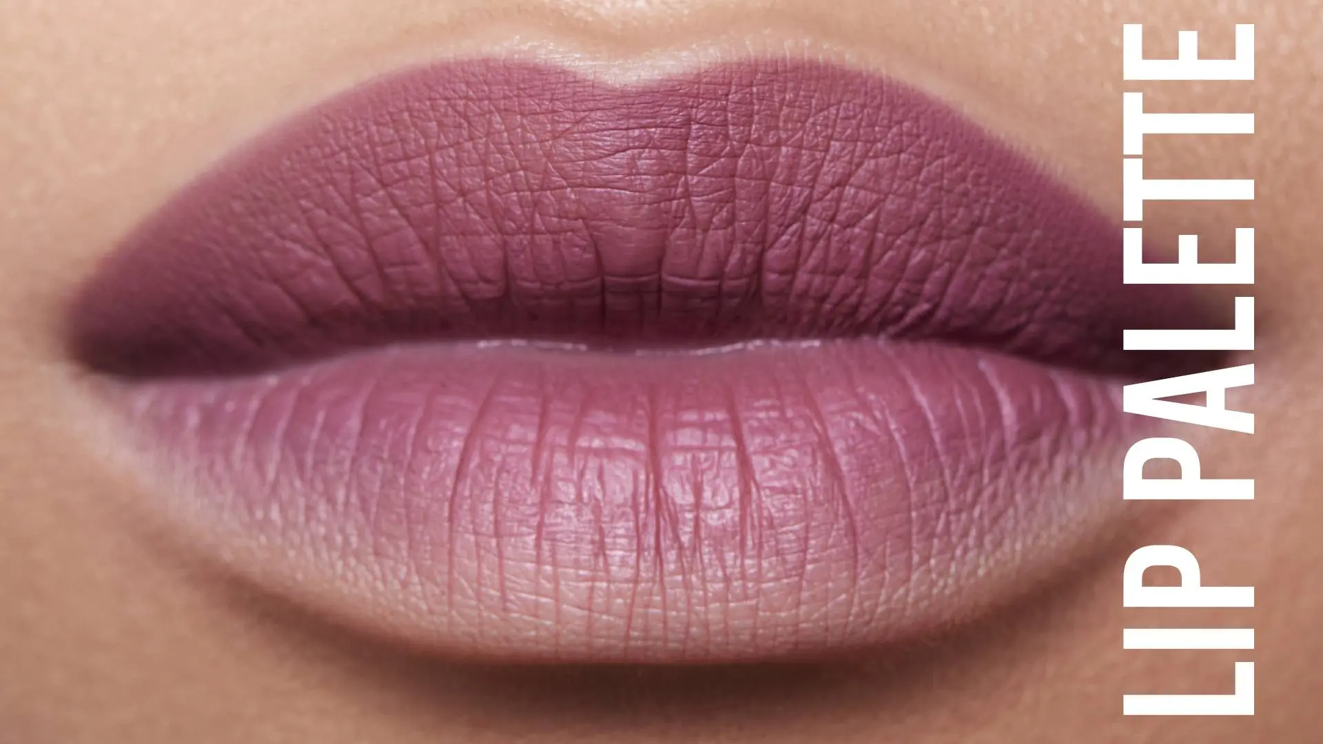 Danessa Myricks Lip Palette - Product Category